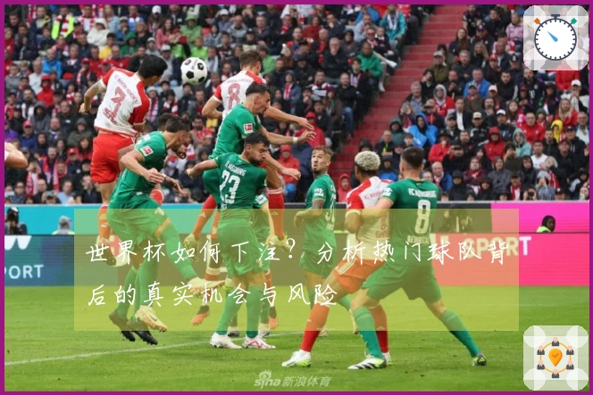 世界杯如何下注？分析热门球队背后的真实机会与风险