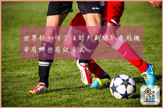 世界杯如何下注时判断球队夺冠概率有哪些有效方式