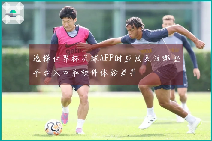 选择世界杯买球APP时应该关注哪些平台入口和软件体验差异